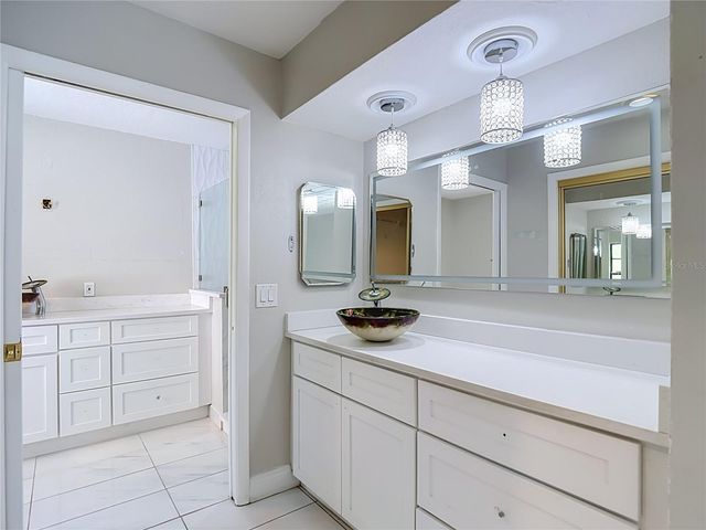 4608 APPLE RIDGE LANE, Tampa, FL 33624