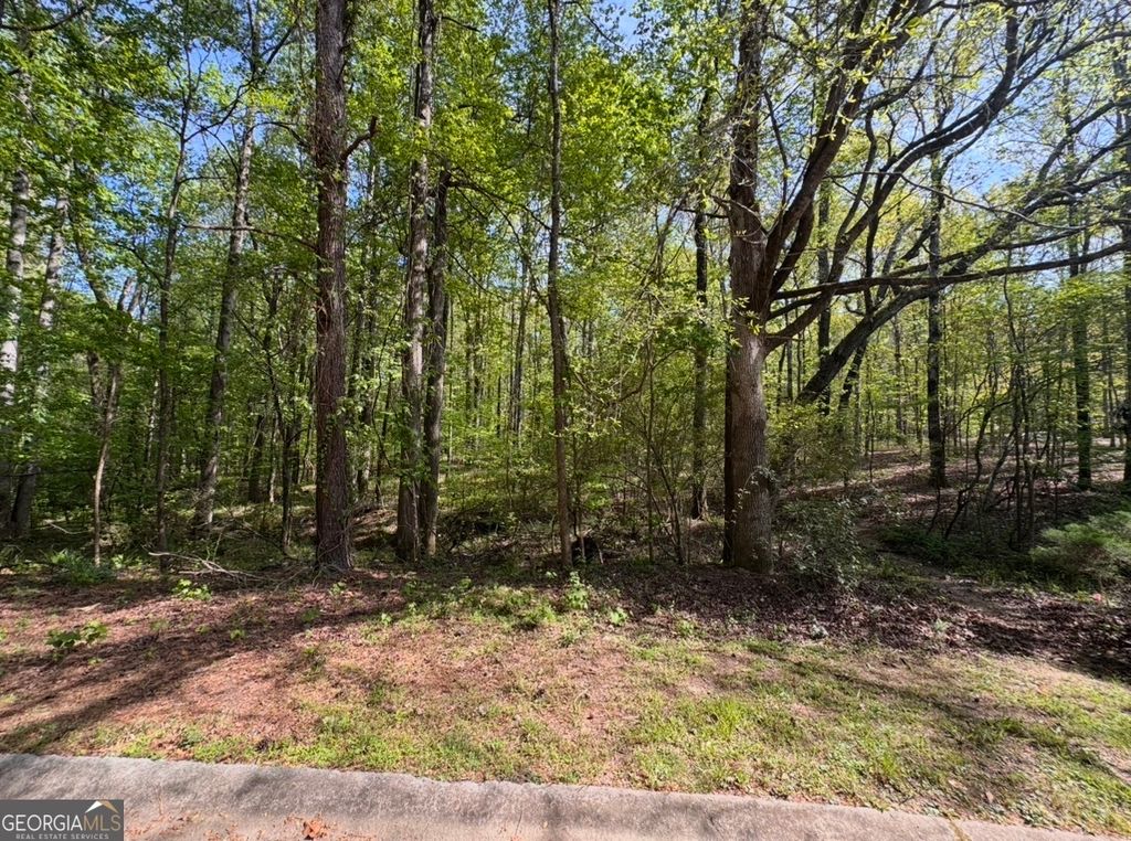 140 Emerald Lane, Fayetteville, GA 30214 — photo 5