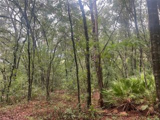 TBD DELAWARE AVENUE, Interlachen, FL 32148