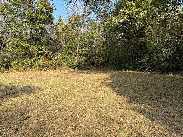Lot 23R SE County Road 3258, Kerens, TX 75144