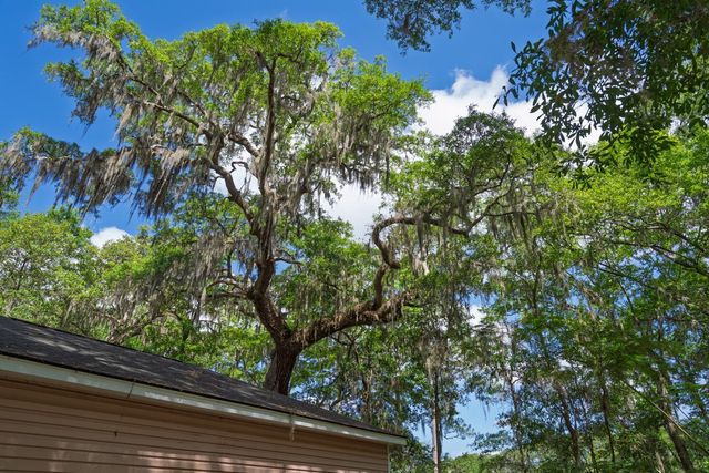 8362 Chisolm Plantation Road, Edisto Island, SC 29438
