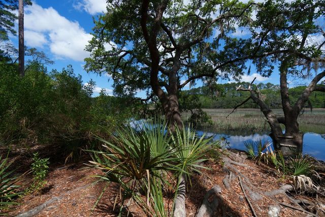 8362 Chisolm Plantation Road, Edisto Island, SC 29438