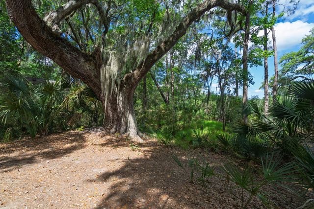 8362 Chisolm Plantation Road, Edisto Island, SC 29438