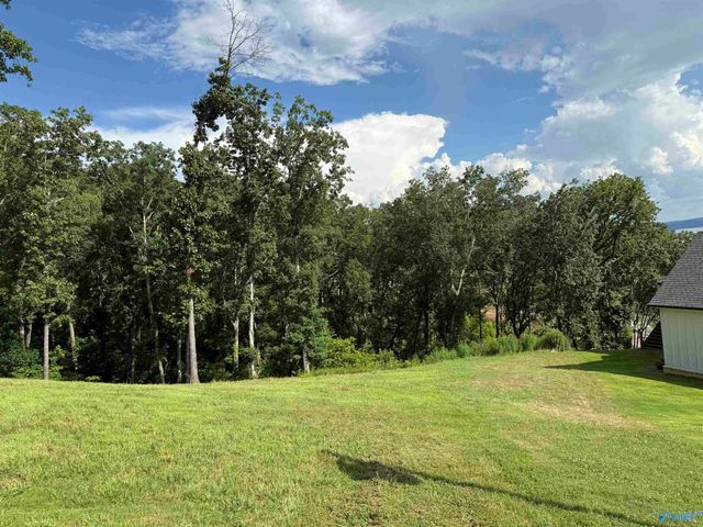LOT 113 Boathouse Drive, Guntersville, AL 35976