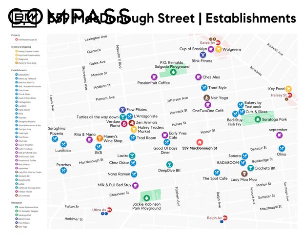559 Mac Donough Street, New York City, NY 11233