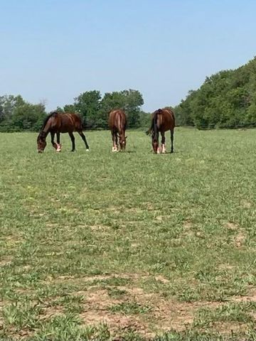 4401 W 111th St S, Peck, KS 67120