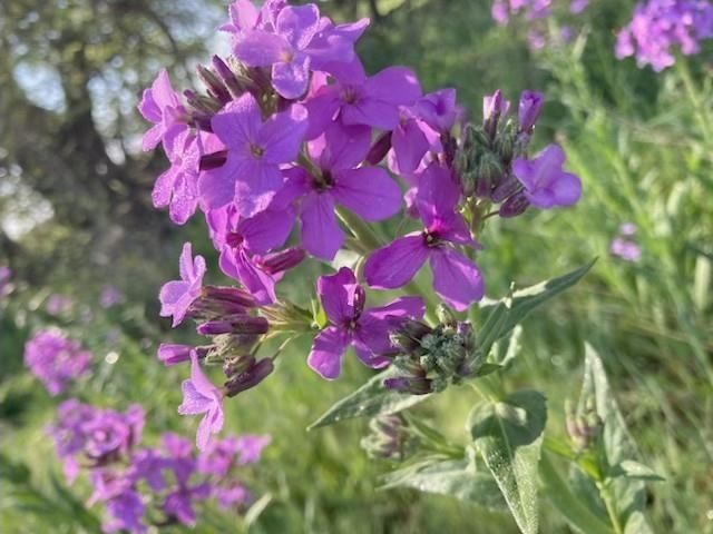 4401 W 111th St S, Peck, KS 67120