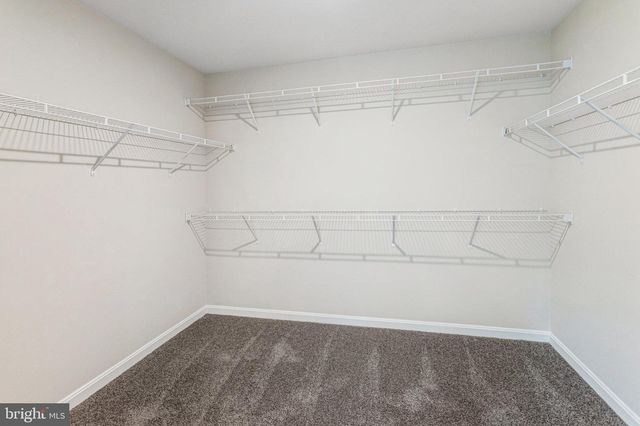 2845 WHITE TAIL DR, Locust Grove, VA 22508