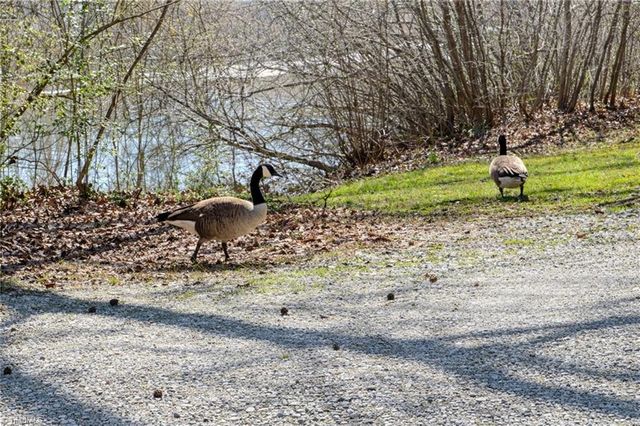 3515 Fiesta Drive, Greensboro, NC 27406