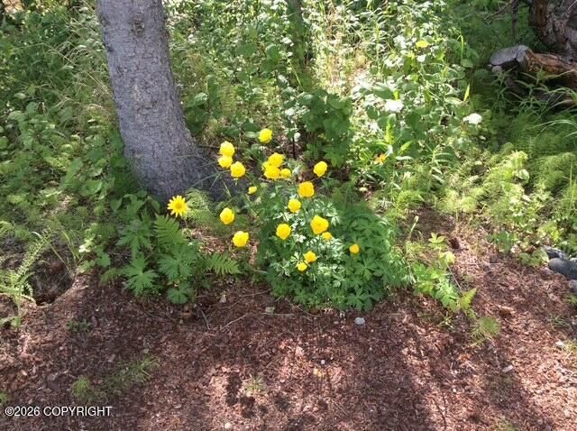 4005 N Fireweed Fields Drive, Wasilla, AK 99623