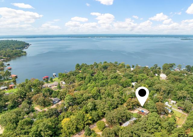 16964 Pine Trail Dr, Flint, TX 75762