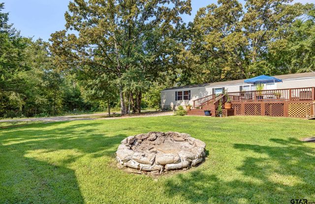 16964 Pine Trail Dr, Flint, TX 75762