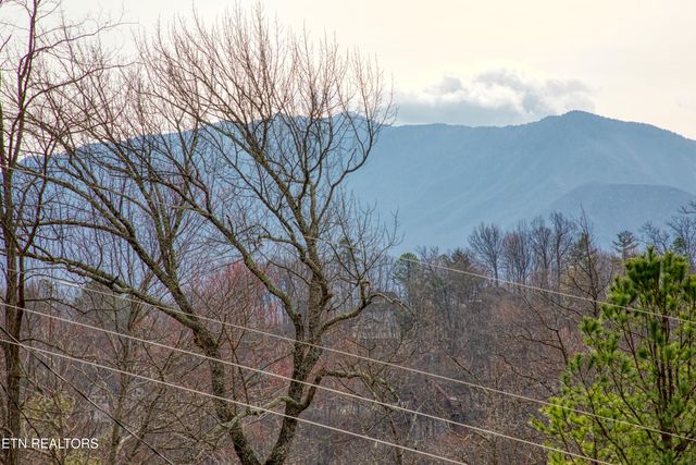1155 Upper Alpine Way 303, Gatlinburg, TN 37738