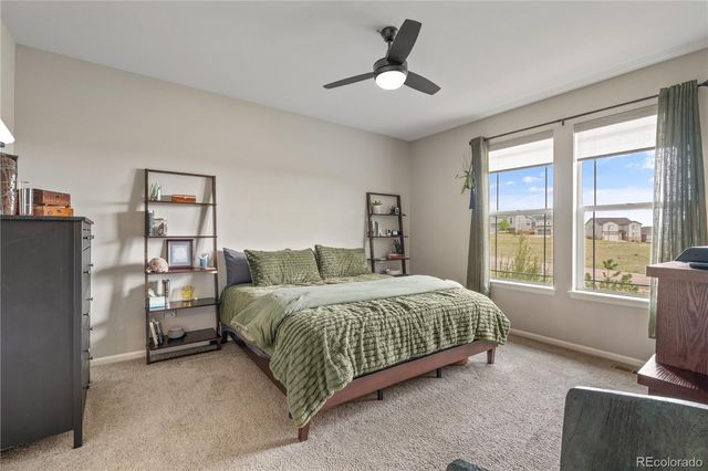 3977 Happy Hollow Drive, Castle Rock, CO 80104