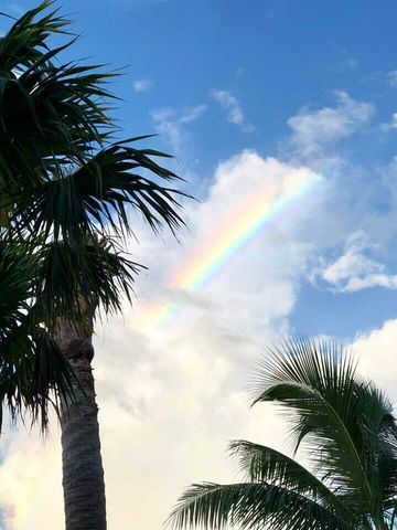 1616 Atlantic Blvd Apt 5, Key West, FL 33040