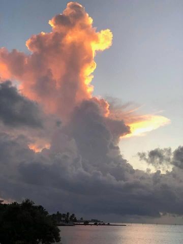 1616 Atlantic Blvd Apt 5, Key West, FL 33040