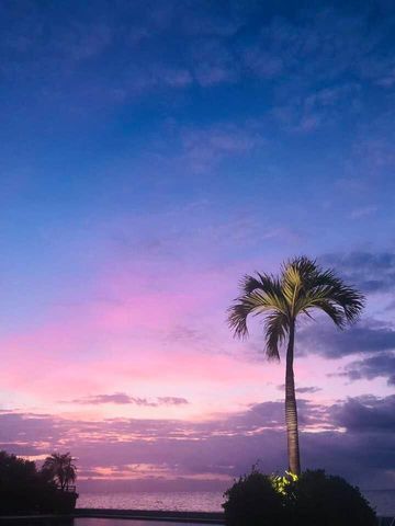 1616 Atlantic Blvd Apt 5, Key West, FL 33040