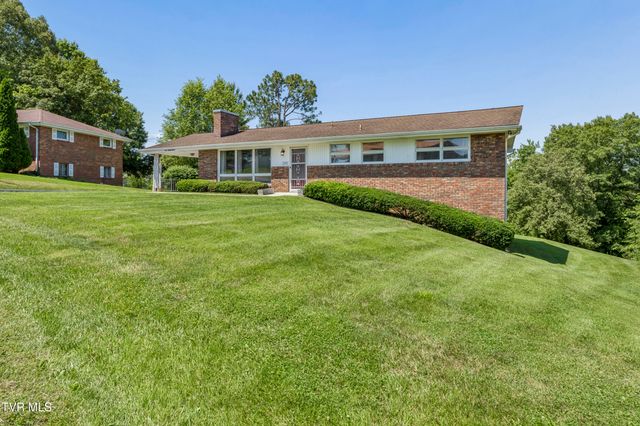 133 Rosefield Drive, Kingsport, TN 37660