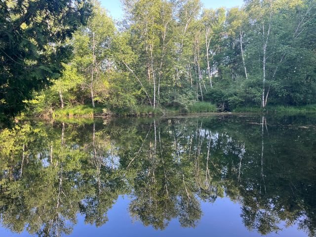 5499 W McBride Road, Douglass Twp, MI 48850