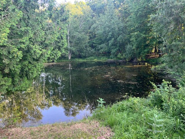 5499 W McBride Road, Douglass Twp, MI 48850