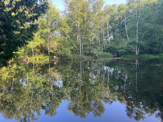 5499 W McBride Road, Douglass Twp, MI 48850