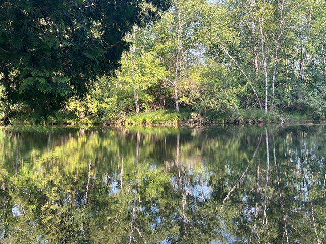 5499 W McBride Road, Douglass Twp, MI 48850