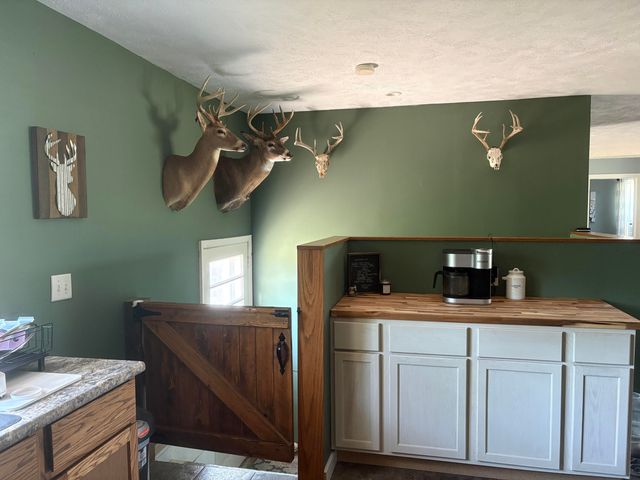 5499 W McBride Road, Douglass Twp, MI 48850