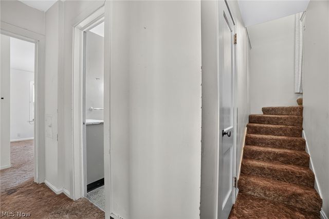 37 Chestnut Street, Painesville, OH 44077