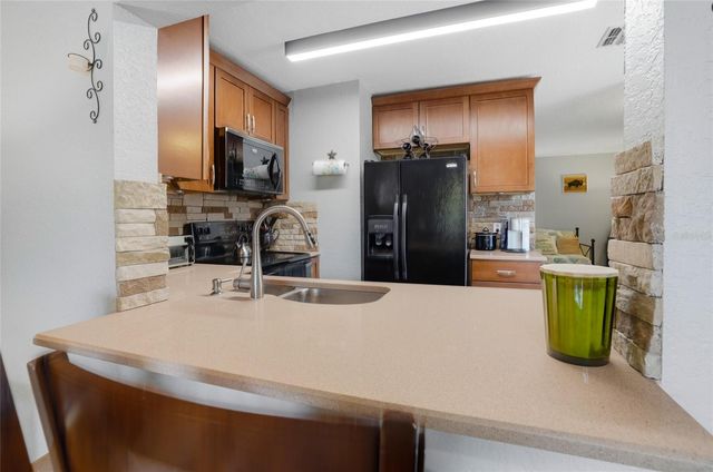 16511 LAKE BRIGADOON CIRCLE, Tampa, FL 33618