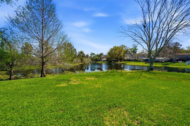 16511 LAKE BRIGADOON CIRCLE, Tampa, FL 33618