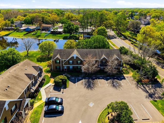 16511 LAKE BRIGADOON CIRCLE, Tampa, FL 33618