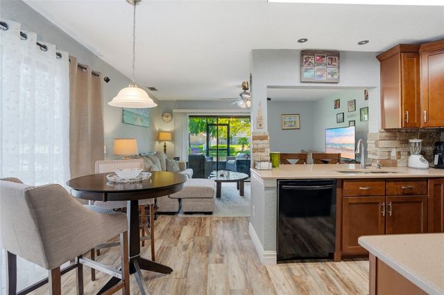 16511 LAKE BRIGADOON CIRCLE, Tampa, FL 33618