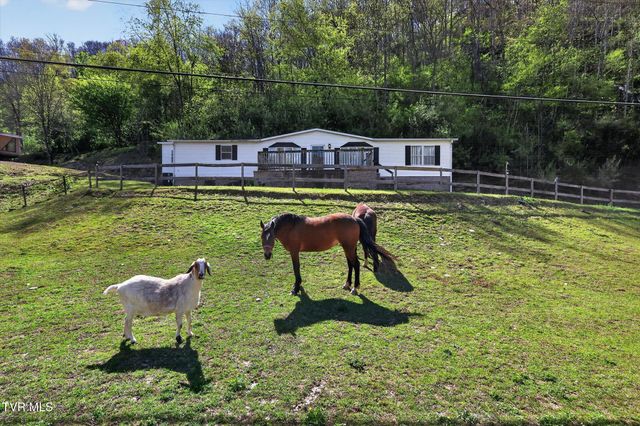 11343 Robinson Hollow Road, Coeburn, VA 24230