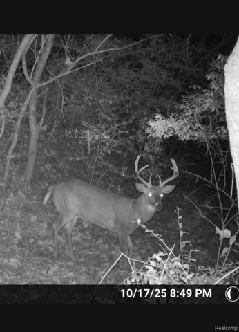 2298 N Wilmoth Highway, Raisin Township, MI 49221