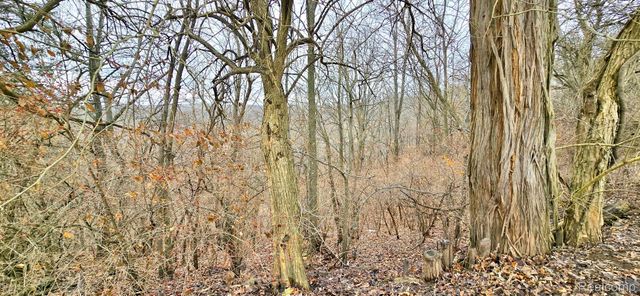 2298 N Wilmoth Highway, Raisin Township, MI 49221