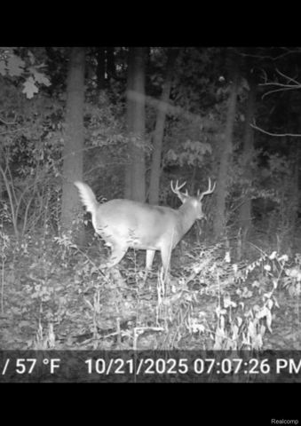 2298 N Wilmoth Highway, Raisin Township, MI 49221