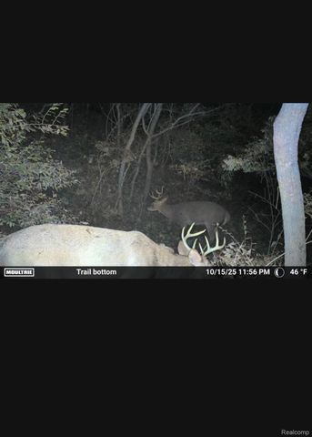 2298 N Wilmoth Highway, Raisin Township, MI 49221