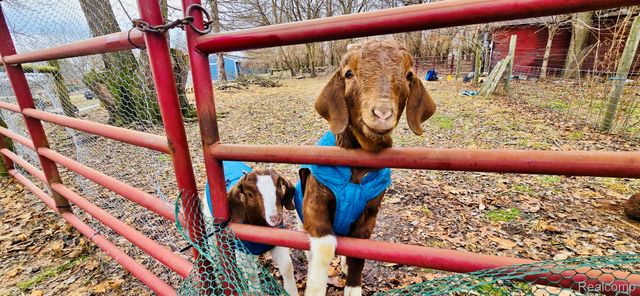 2298 N Wilmoth Highway, Raisin Township, MI 49221