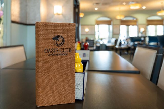 8932 STINGER DRIVE, Davenport, FL 33896