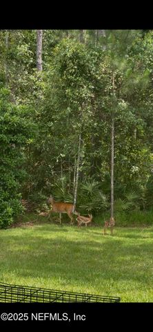 4328 EAGLE LANDING Parkway, Orange Park, FL 32065