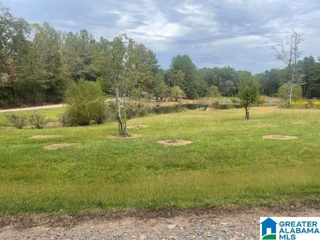 136 LILLIE BELL LANE, Chelsea, AL 35043