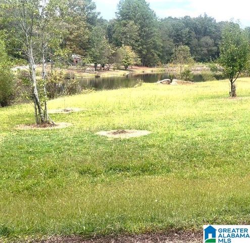 136 LILLIE BELL LANE, Chelsea, AL 35043