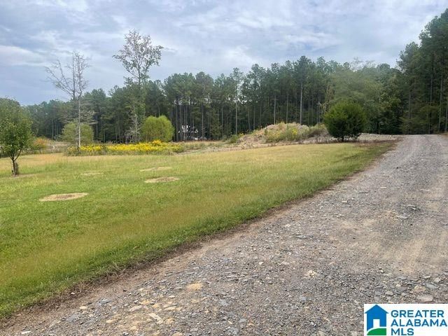 136 LILLIE BELL LANE, Chelsea, AL 35043