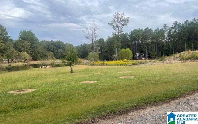 136 LILLIE BELL LANE, Chelsea, AL 35043
