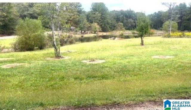 136 LILLIE BELL LANE, Chelsea, AL 35043