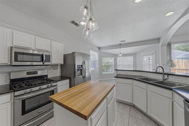 17338 Kiowa River Lane, Houston, TX 77095