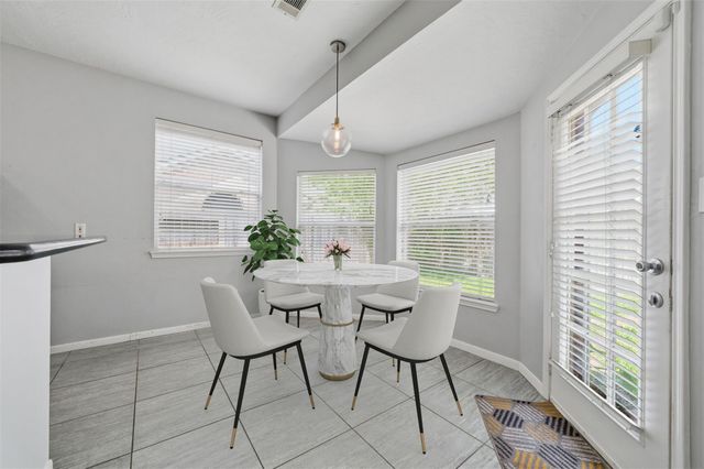 17338 Kiowa River Lane, Houston, TX 77095