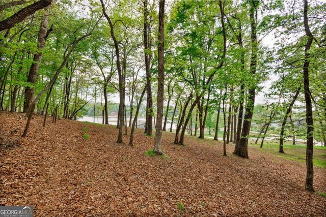 LOT 29 Open Water Lane, Blairsville, GA 30512