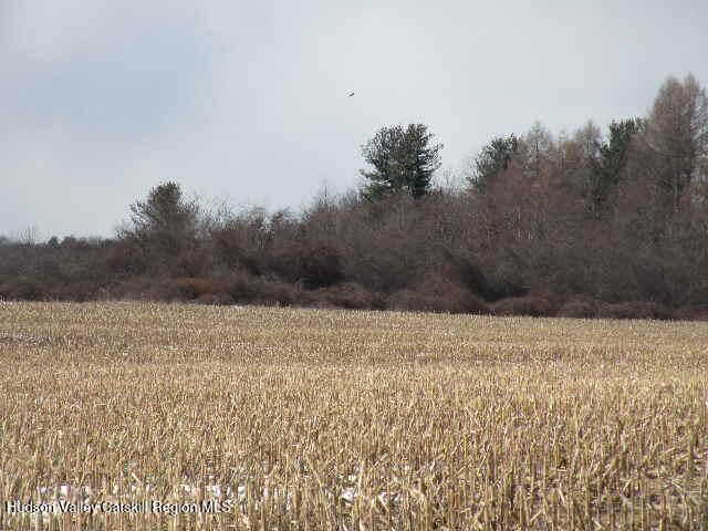 132 Lockwood Road, Hudson, NY 12534