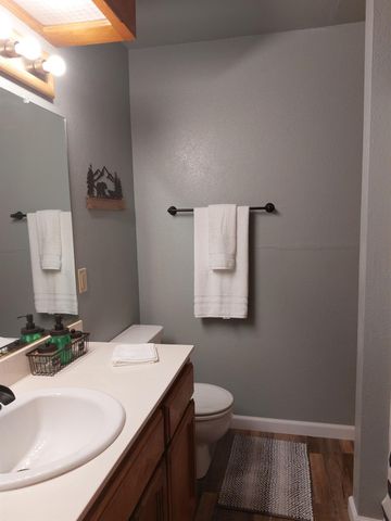 25705 Creekside Dr, Pioneer, CA 95666